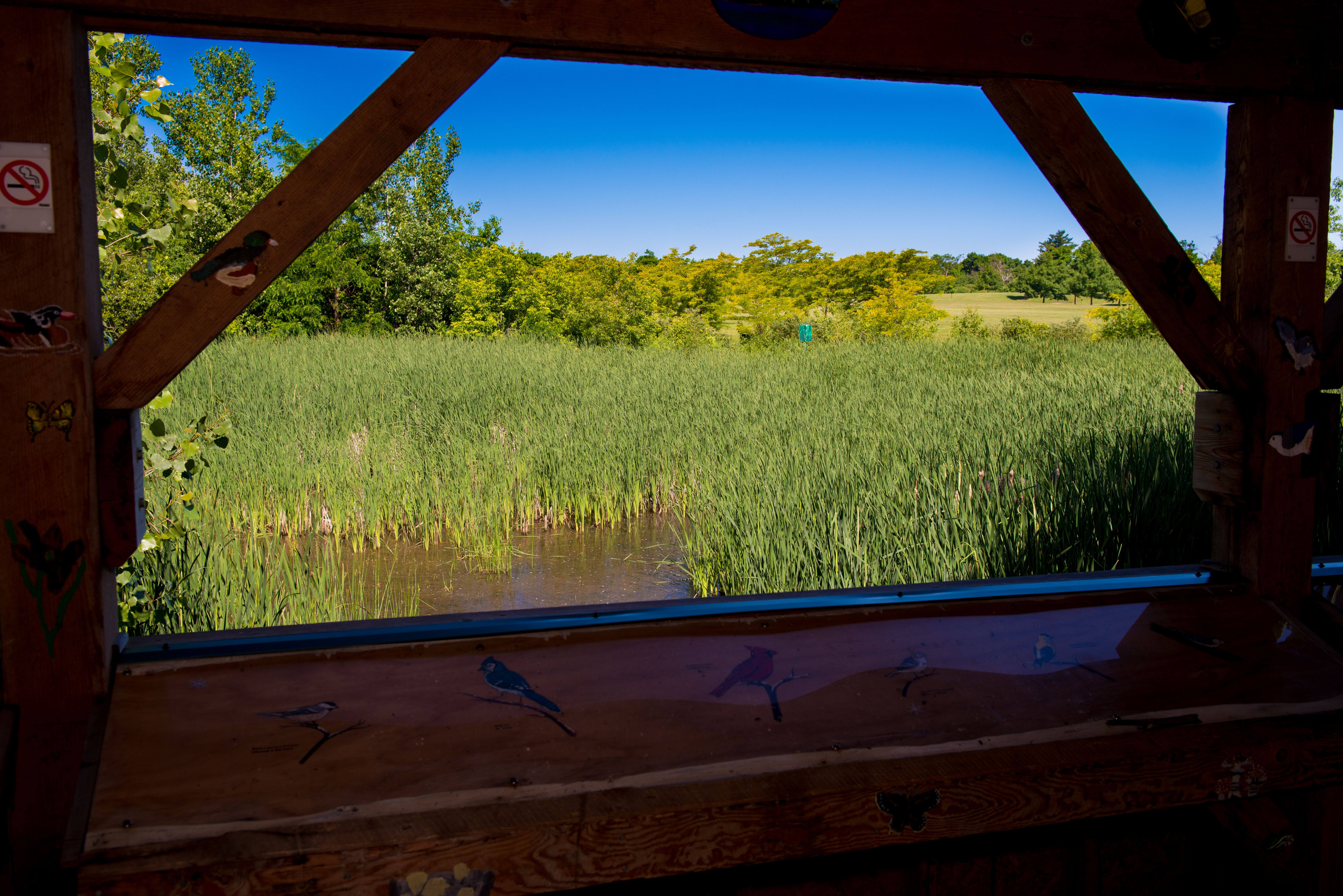 macoun marsh classrom