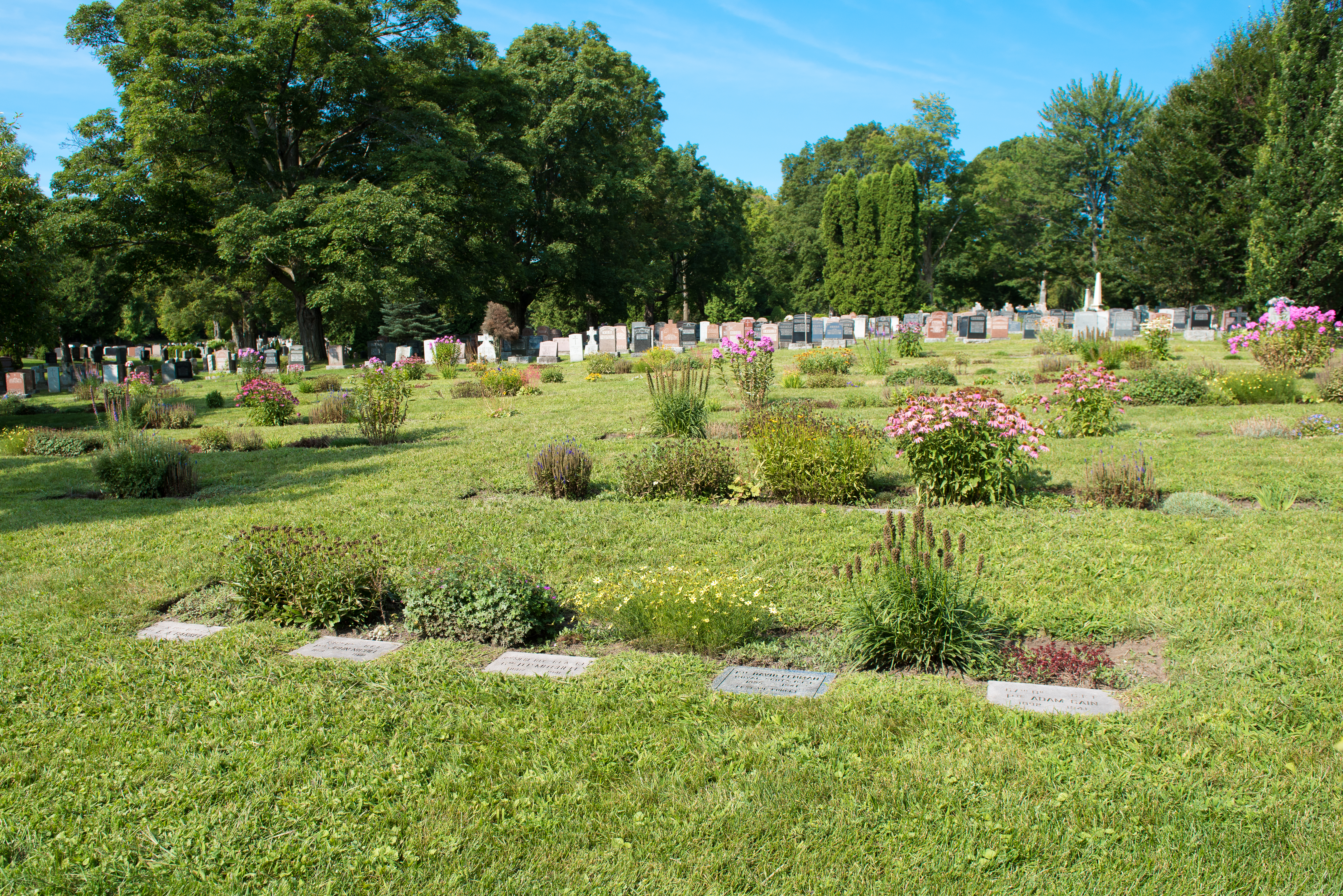 Last Post Fund Field of Honour at Beechwood Cemetery