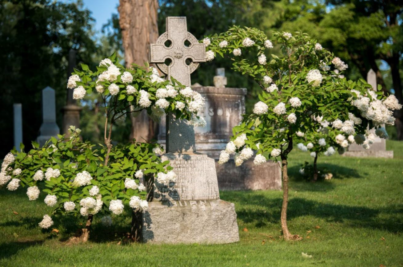 Celtic Cross in section 50