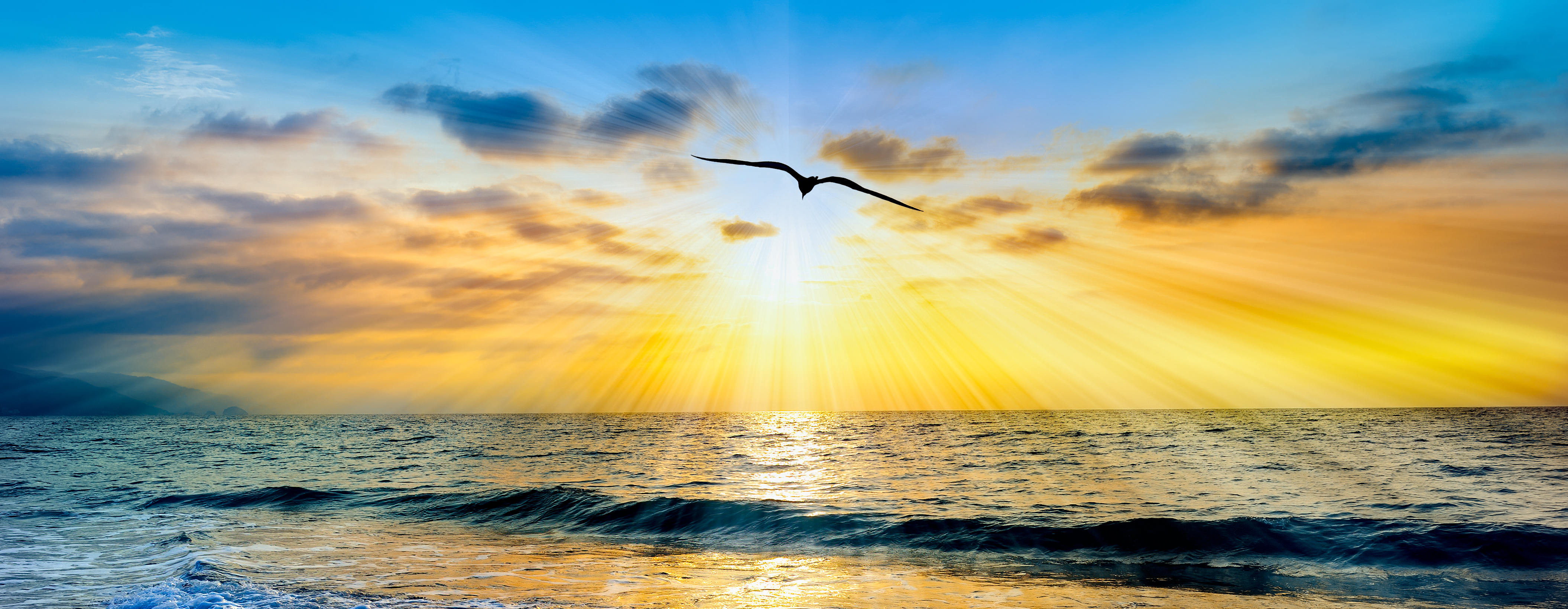 A Single Bird Silhouette Is Flying Into The Ocean Sunset Sky With Sun Rays Emanating From the Colorful Horizon