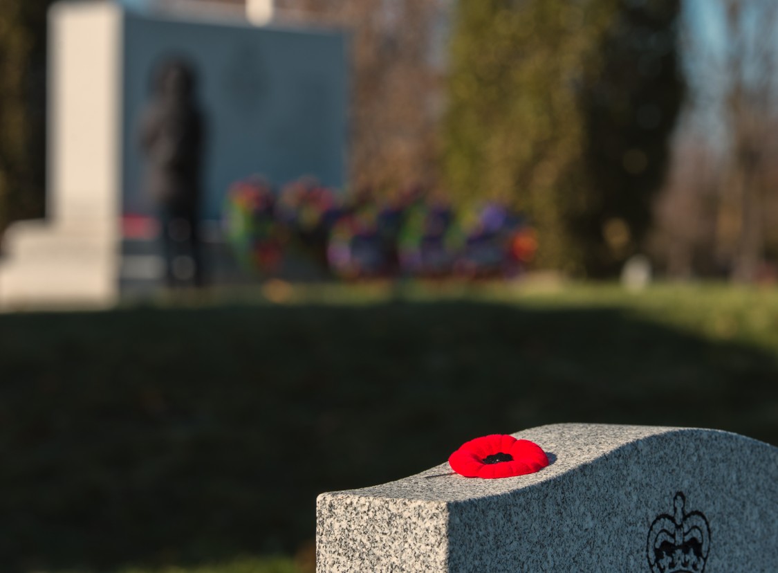 Poppy placed on a headstone in memory of a loved one