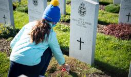Child placing a poppy on headstone