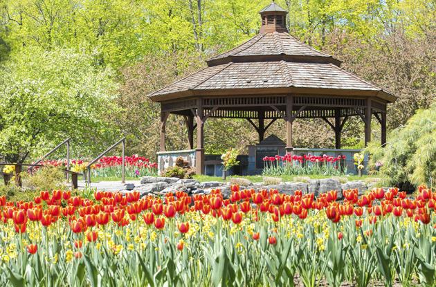 Gazebo surrounded by flowers